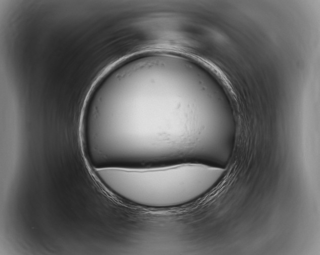 X0000097991199200803241015