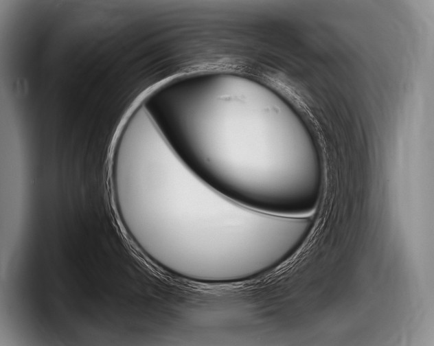 X0000097991200200803241015