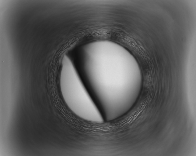 X0000097991201200803241015