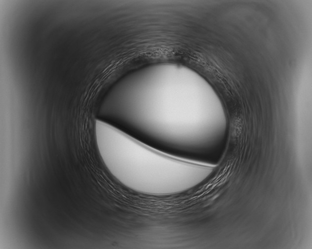 X0000097991202200803241015