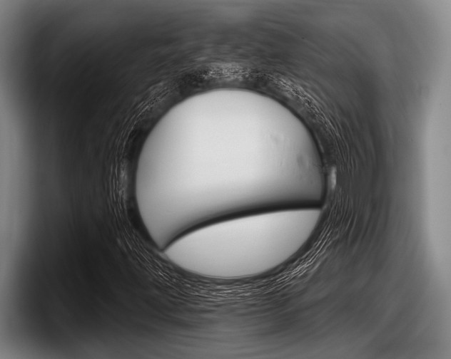X0000097991203200803241015
