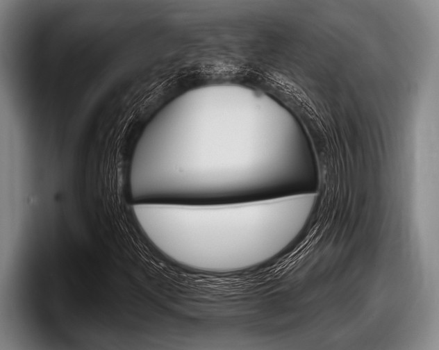 X0000097991204200803241015