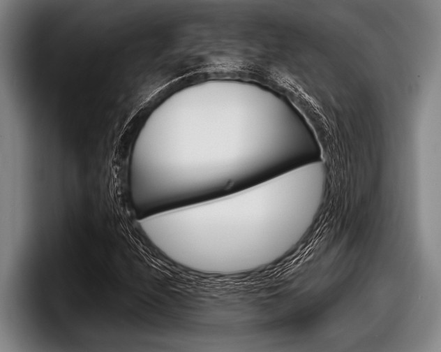 X0000097991208200803241015