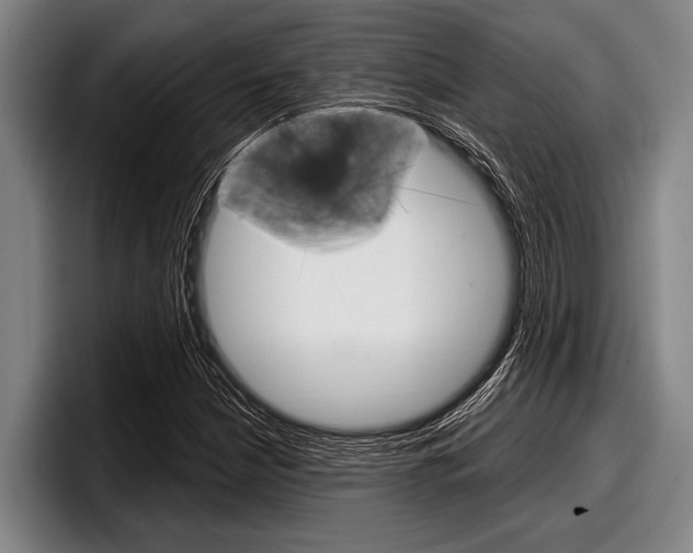 X0000097991210200803241015