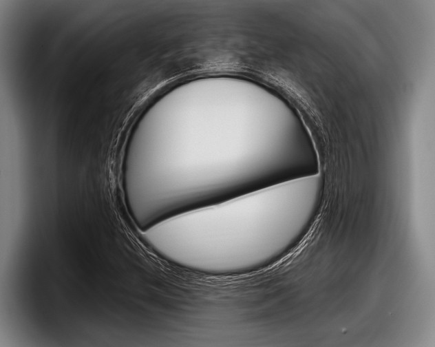 X0000097991212200803241015