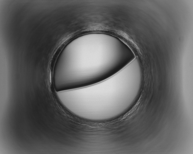 X0000097991221200803241015
