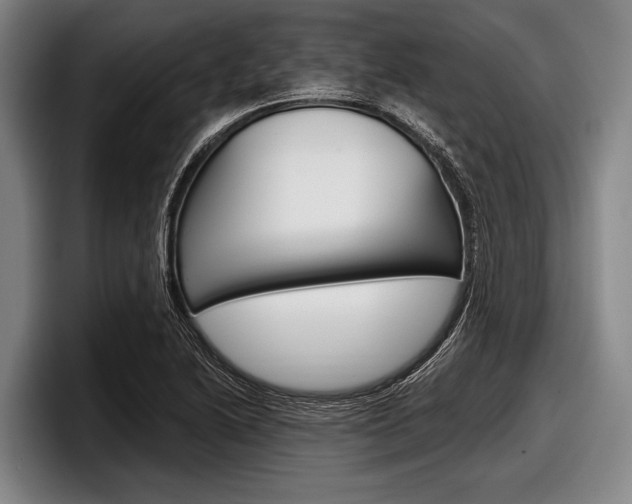 X0000097991222200803241015