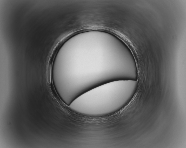 X0000097991223200803241015