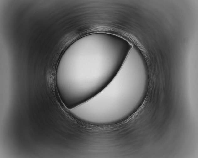 X0000097991225200803241015