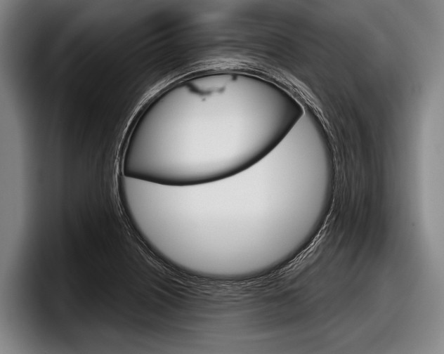 X0000097991226200803241015
