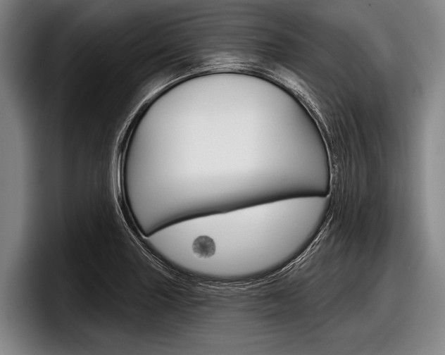 X0000097991227200803241015