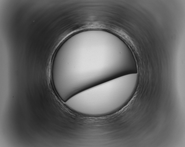 X0000097991228200803241015