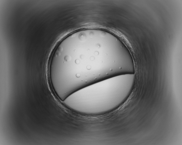 X0000097991231200803241015