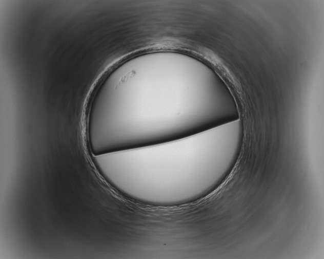 X0000097991232200803241015