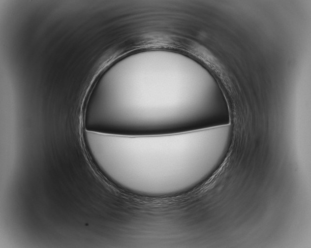 X0000097991234200803241015