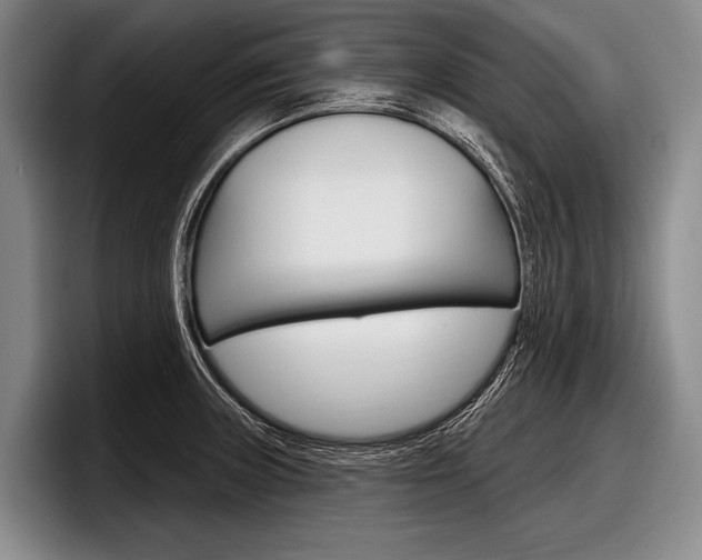 X0000097991235200803241015