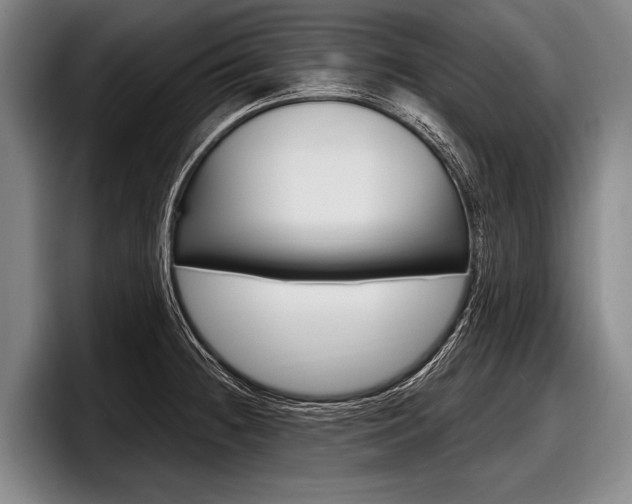 X0000097991236200803241015