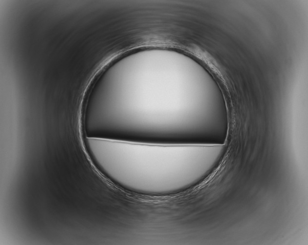 X0000097991237200803241015