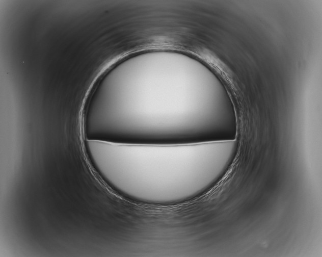 X0000097991238200803241015