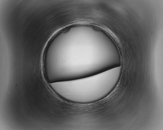X0000097991240200803241015