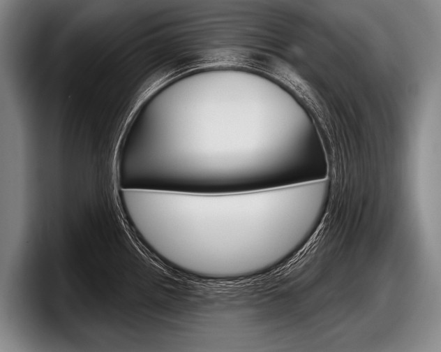 X0000097991242200803241015