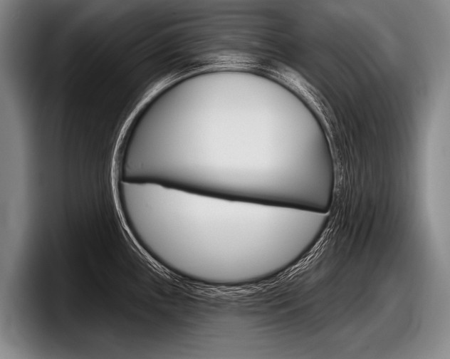 X0000097991243200803241015