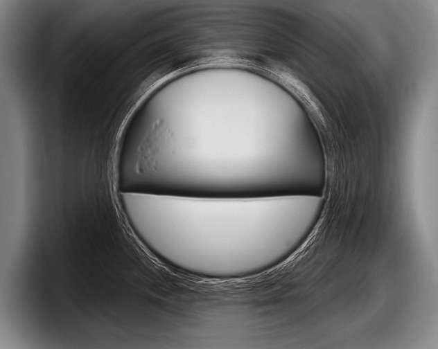 X0000097991244200803241015