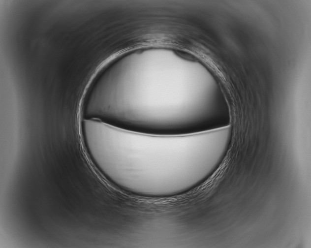 X0000097991246200803241015