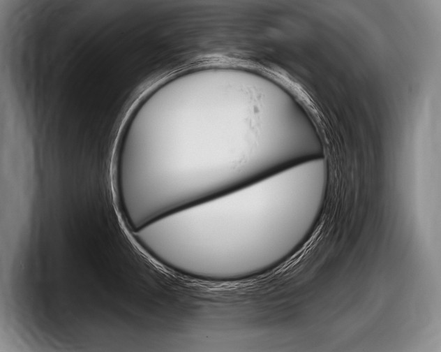 X0000097991247200803241015