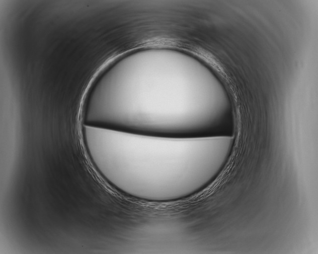 X0000097991248200803241015