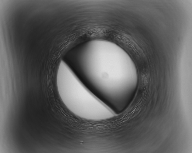 X0000097991250200803241015