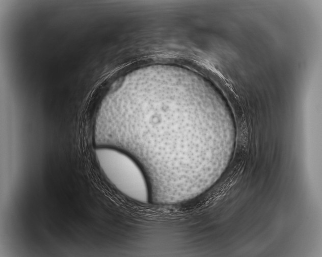 X0000097991255200803241014