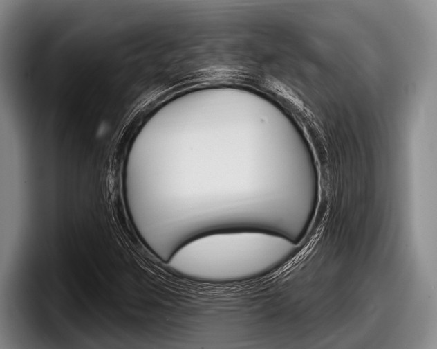 X0000097991259200803241014