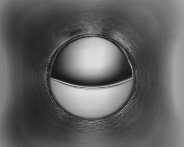 X0000097991260200803241014