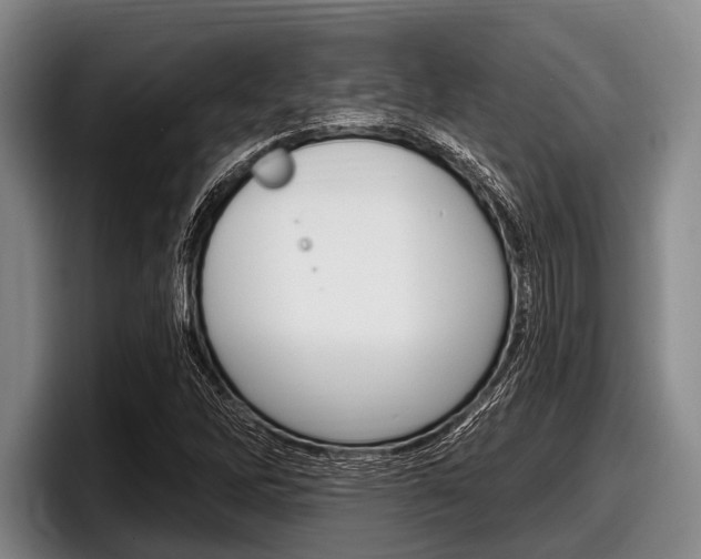 X0000097991262200803241014