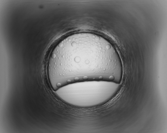 X0000097991263200803241014