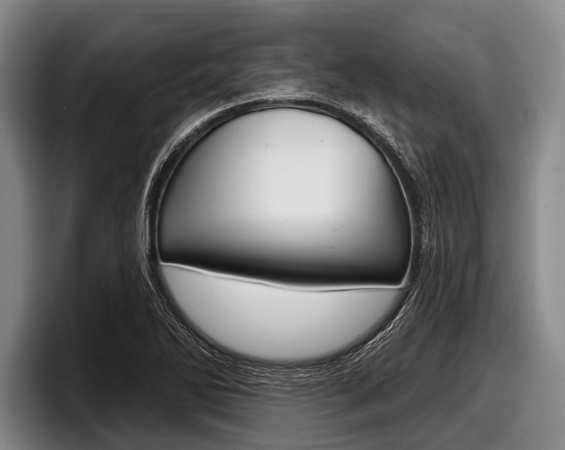 X0000097991270200803241014