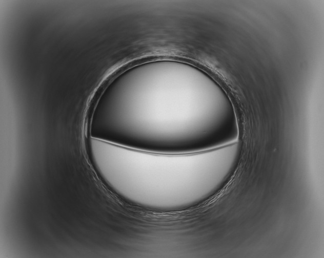 X0000097991272200803241014