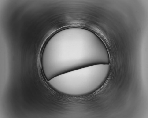 X0000097991275200803241014