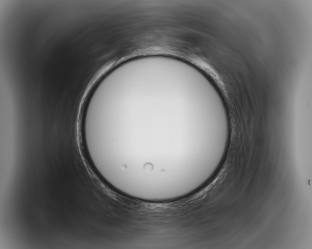 X0000097991278200803241014