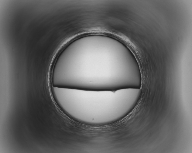 X0000097991279200803241014