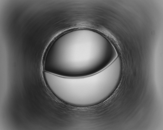 X0000097991280200803241014
