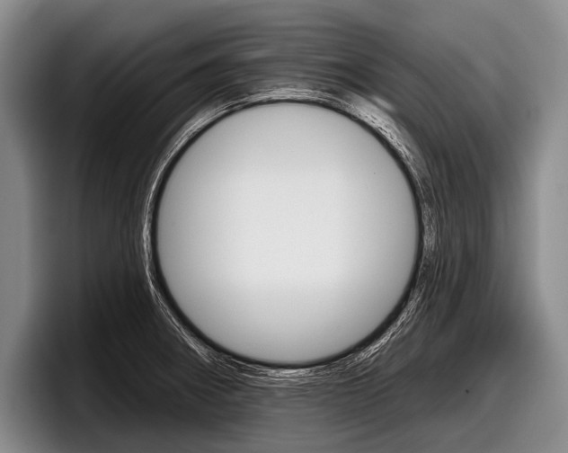 X0000097991282200803241014
