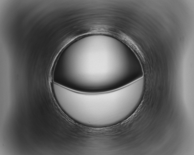 X0000097991284200803241014