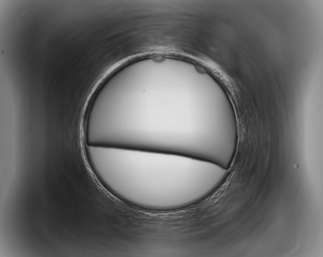 X0000097991287200803241014
