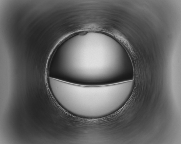 X0000097991288200803241014