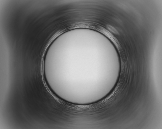 X0000097991290200803241014
