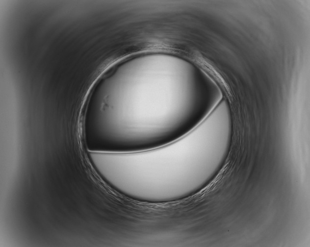X0000097991292200803241014