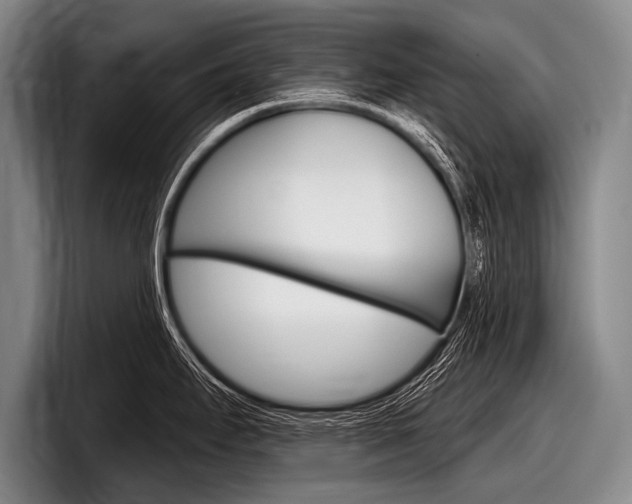 X0000097991295200803241014