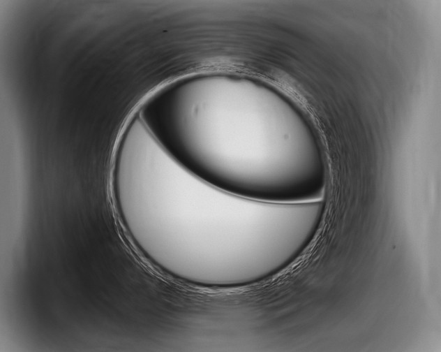 X0000097991296200803241014